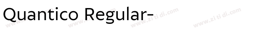 Quantico Regular字体转换